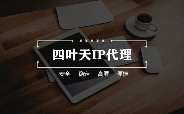 【枣阳代理IP】如何快速搭建代理IP？怎么检查代理的效果？